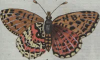 An illustration from (Band 4): Viertes Hundert (1802)