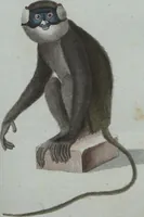 An illustration from (Band 4): Viertes Hundert (1802)