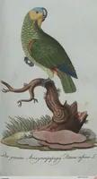 An illustration from (Band 4): Viertes Hundert (1802)