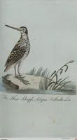 An illustration from (Band 4): Viertes Hundert (1802)