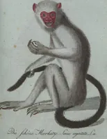 An illustration from (Band 4): Viertes Hundert (1802)