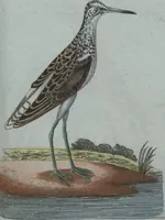 An illustration from (Band 4): Viertes Hundert (1802)