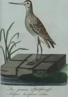 An illustration from (Band 4): Viertes Hundert (1802)