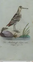 Picture 92 of 102 from (Band 4): Viertes Hundert (1802), leaf 204