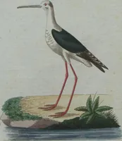 An illustration from (Band 4): Viertes Hundert (1802)