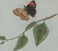 An illustration from (Band 4): Viertes Hundert (1802)