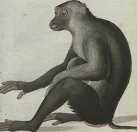 An illustration from (Band 4): Viertes Hundert (1802)