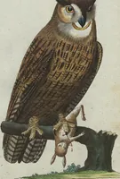 An illustration from (Band 4): Viertes Hundert (1802)