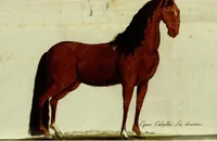 An illustration from (Band 5): Fünftes Hundert (1804)