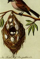 An illustration from (Band 5): Fünftes Hundert (1804)