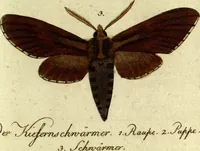 An illustration from (Band 5): Fünftes Hundert (1804)