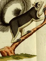 An illustration from (Band 5): Fünftes Hundert (1804)