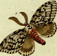 An illustration from (Band 5): Fünftes Hundert (1804)