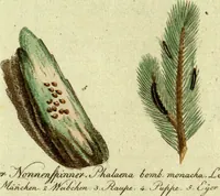 Picture 78 of 97 from (Band 5): Fünftes Hundert (1804), leaf 189