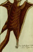 An illustration from (Band 5): Fünftes Hundert (1804)