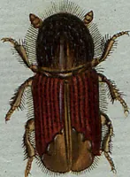 An illustration from (Band 7): Siebentes Hundert (1807)