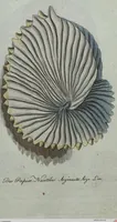 An illustration from (Band 7): Siebentes Hundert (1807)