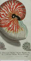 An illustration from (Band 7): Siebentes Hundert (1807)