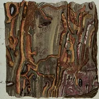 An illustration from (Band 7): Siebentes Hundert (1807)