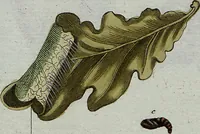 An illustration from (Band 7): Siebentes Hundert (1807)