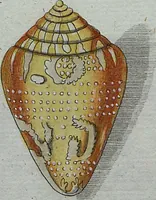 An illustration from (Band 7): Siebentes Hundert (1807)