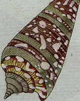 Picture 21 of 107 from (Band 7): Siebentes Hundert (1807), leaf 116