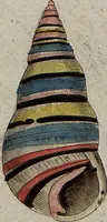 An illustration from (Band 7): Siebentes Hundert (1807)