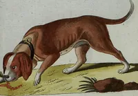 An illustration from (Band 7): Siebentes Hundert (1807)
