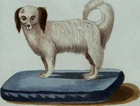 An illustration from (Band 7): Siebentes Hundert (1807)