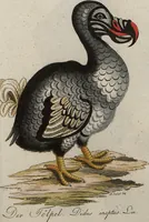 An illustration from (Band 7): Siebentes Hundert (1807)
