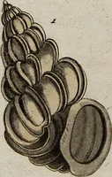 Picture 86 of 107 from (Band 7): Siebentes Hundert (1807), leaf 186