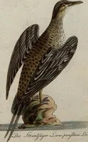 An illustration from (Band 7): Siebentes Hundert (1807)