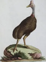 An illustration from (Band 8): Achtes Hundert (1807)