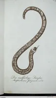 Picture 23 of 89 from (Band 8): Achtes Hundert (1807), leaf 124