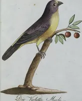 Picture 53 of 89 from (Band 8): Achtes Hundert (1807), leaf 163