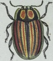 Picture 59 of 89 from (Band 8): Achtes Hundert (1807), leaf 169