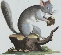 An illustration from (Band 8): Achtes Hundert (1807)