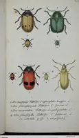 Picture 66 of 89 from (Band 8): Achtes Hundert (1807), leaf 180