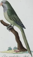 An illustration from (Band 8): Achtes Hundert (1807)