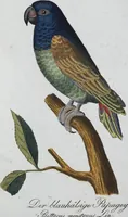 Picture 82 of 89 from (Band 8): Achtes Hundert (1807), leaf 197