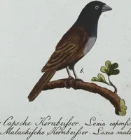 Picture 85 of 89 from (Band 8): Achtes Hundert (1807), leaf 199