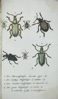 Picture 89 of 89 from (Band 8): Achtes Hundert (1807), leaf 202