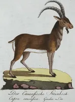 An illustration from (Band 8): Achtes Hundert (1807)