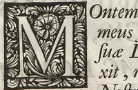 Picture 2 of 28 from Lithographiae Wirceburgensis, Ducentis Lapidum Figuratorum, A Potiori Insectiformium, Prodigiosis Imaginibus Exornatae Specimen Primum (1726), leaf 11