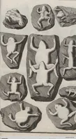 Picture 19 of 28 from Lithographiae Wirceburgensis, Ducentis Lapidum Figuratorum, A Potiori Insectiformium, Prodigiosis Imaginibus Exornatae Specimen Primum (1726), leaf 126