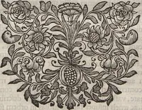 An illustration from Lithographiae Wirceburgensis, Ducentis Lapidum Figuratorum, A Potiori Insectiformium, Prodigiosis Imaginibus Exornatae Specimen Primum (1726)