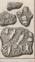 Picture 5 of 28 from Lithographiae Wirceburgensis, Ducentis Lapidum Figuratorum, A Potiori Insectiformium, Prodigiosis Imaginibus Exornatae Specimen Primum (1726), leaf 55