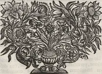 Picture 7 of 28 from Lithographiae Wirceburgensis, Ducentis Lapidum Figuratorum, A Potiori Insectiformium, Prodigiosis Imaginibus Exornatae Specimen Primum (1726), leaf 62