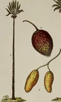 Picture 81 of 173 from (Band 2) (1795), leaf 129