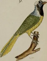 Picture 85 of 173 from (Band 2) (1795), leaf 132